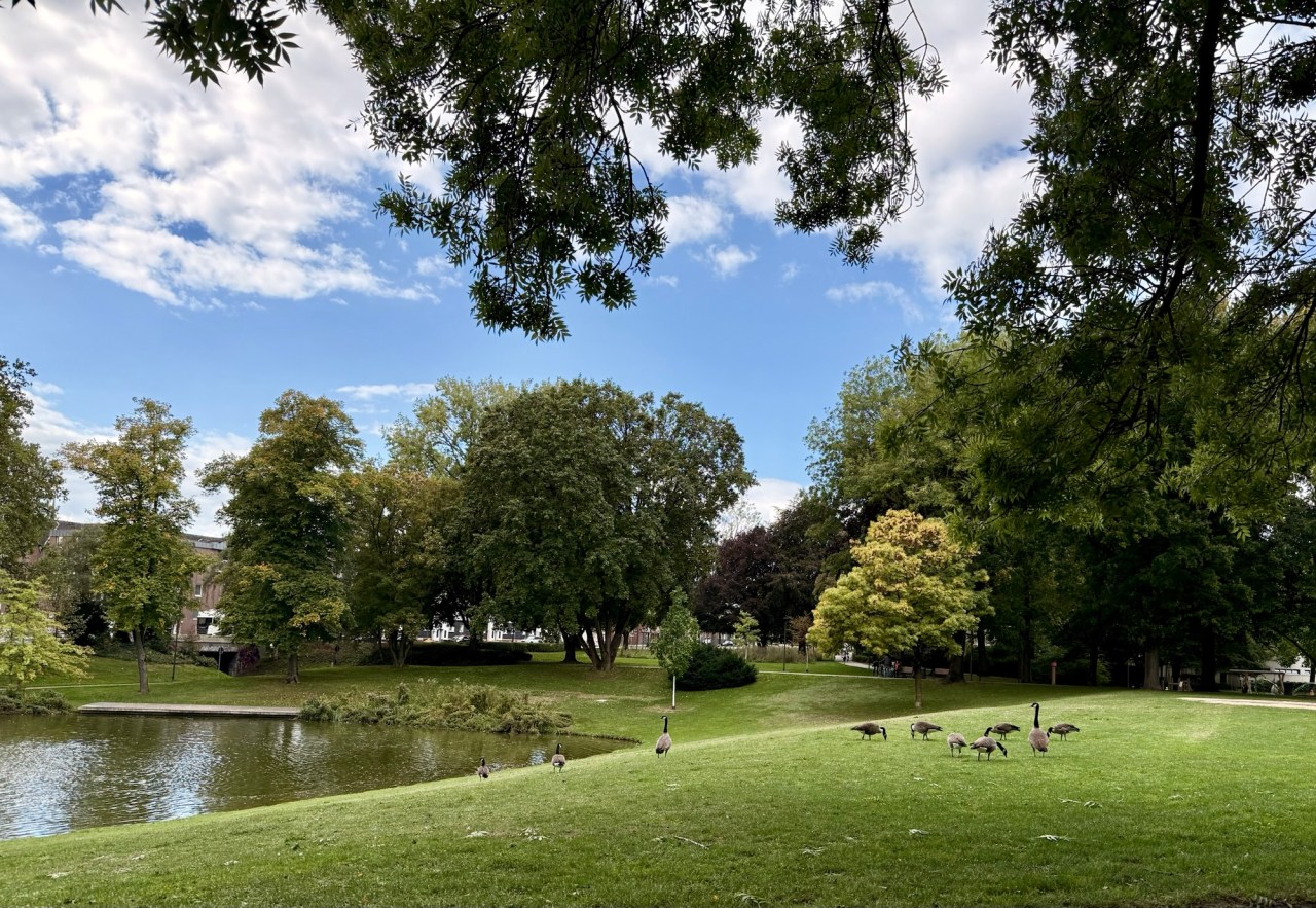 Sept 18 – Monchengladbach