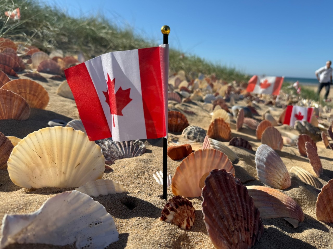 September 22, D Day&nbsp;Landings